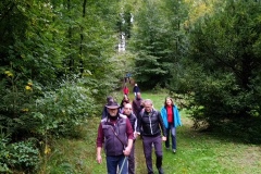 Durch-den-Wald